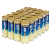 Pro Pro Penn Marathon+ Extra Duty Tennis Balls (Case)