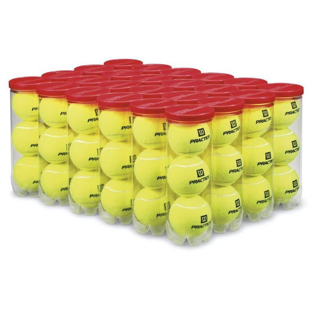 Wilson Practice Tennis Balls (Case)