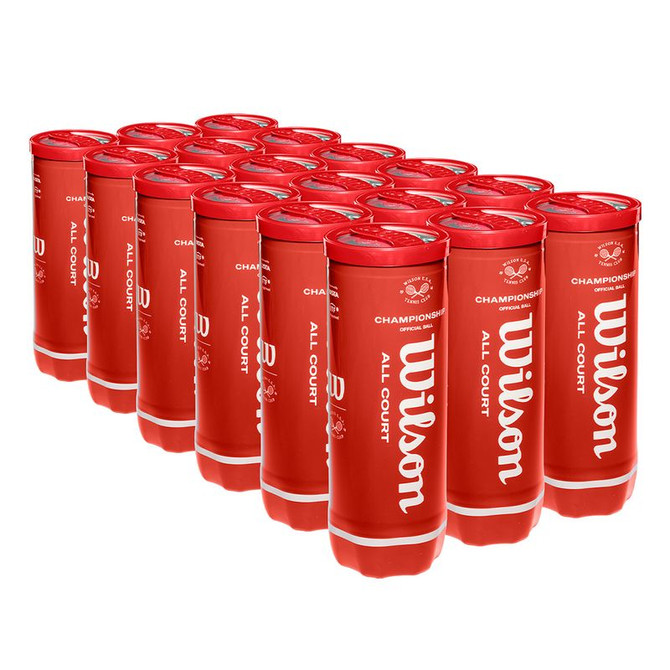 Wilson Championship Legacy Tennis Balls (Case)