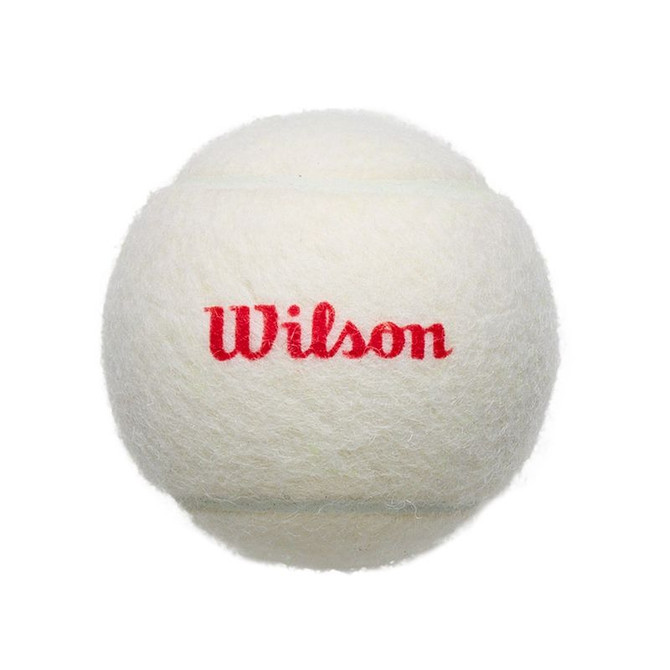 Wilson Championship Legacy Tennis Balls (Case)