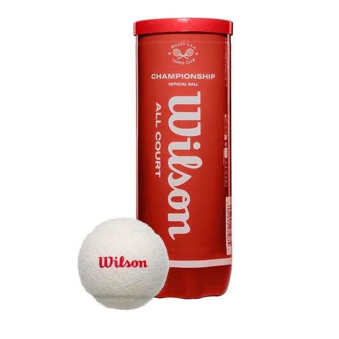 Wilson Championship Legacy Tennis Balls (Case)