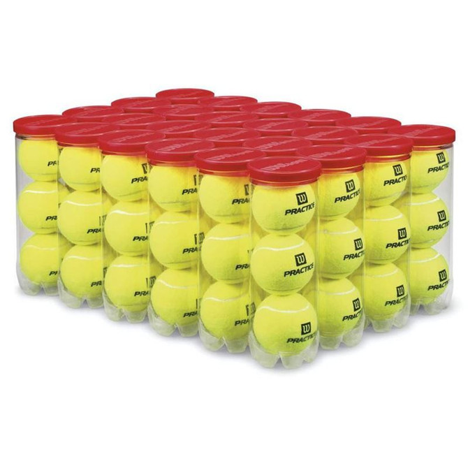 Wilson Practice Tennis Balls (Case)