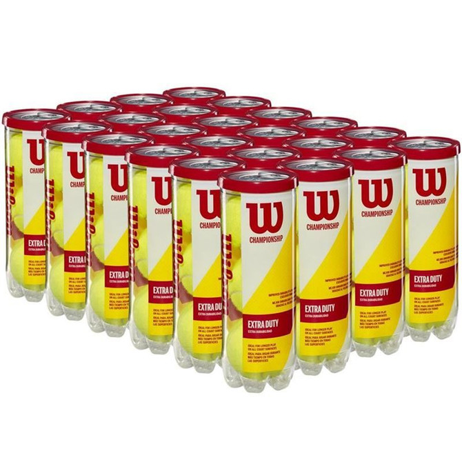 Wilson Championship Extra Duty Tennis Balls (Case)
