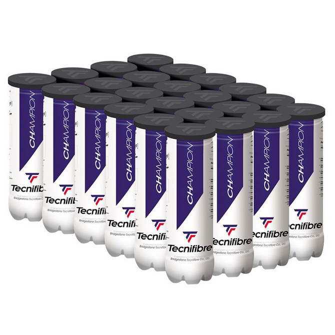 Tecnifibre Champion Tennis Balls (Case)
