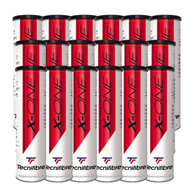 Tecnifibre X-One Tennis Ball Case