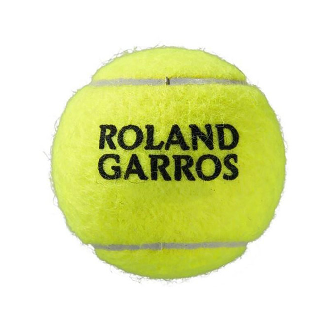 Wilson Roland Garros Clay Court Tennis Balls (Case) - 2