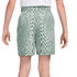 Nike Boys Dri Fit Printed Short - Spruce Fog/Barely Green/White