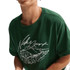 Nike Court London Crop Tee Shirt - Gorge Green