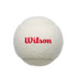 Wilson Championship Legacy Tennis Balls 3 ball (Cans)