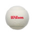 Wilson Championship Legacy Tennis Balls (Case)