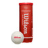 Wilson Championship Legacy Tennis Balls (Case)
