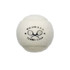 Wilson Championship Legacy Tennis Balls (Case)