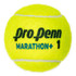 Pro Penn Marathon+ Extra Duty Tennis Balls (Can)