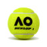 Dunlop Australian Open Tennis Ball (Case) - 3