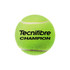 Tecnifibre Champion Tennis Balls (Case) - 2