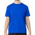 SB Sport Team Short Sleeve Shirt - Royal
