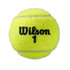 Wilson Roland Garros Clay Court Tennis Balls (Case) - 3