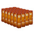 Wilson US Open Orange Tournament Transition Tennis Balls (Case)