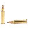 Close-up view of .17 HMR rounds with polymer tips