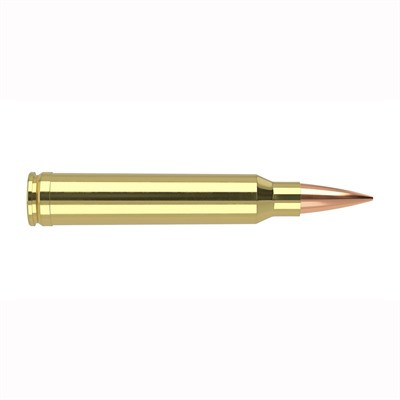 Nosler .300 WSM Trophy Grade 190gr PolyTip Ammo