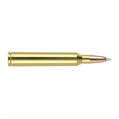 Nosler 7mm STW Trophy Grade 160gr PolyTip Ammo