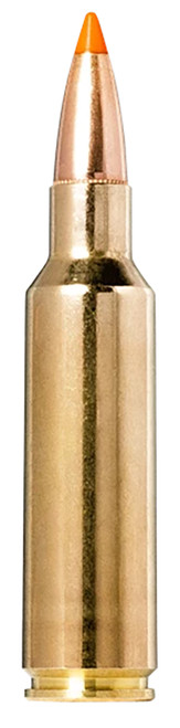 Norma .300 WSM Tipstrike 170gr Polymer Tip Ammo