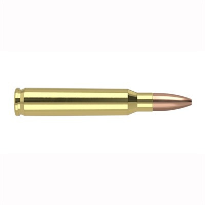 Nosler .223 Remington Varmageddon 62gr FBHP Ammo