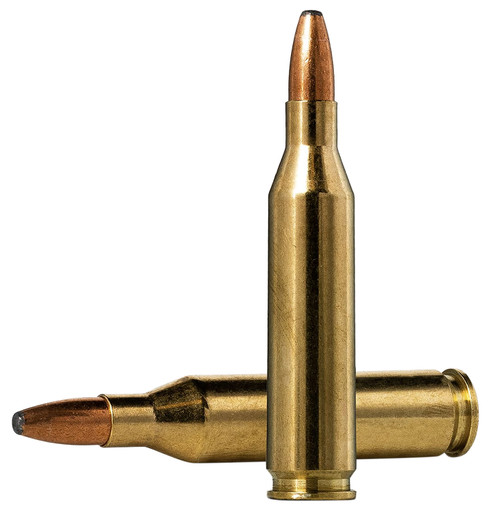 Norma .243 Winchester Oryx 100gr BSP Ammo