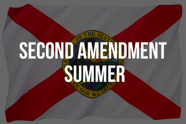 Florida: Governor DeSantis proposes "Second Amendment Summer" tax holiday for guns and ammo