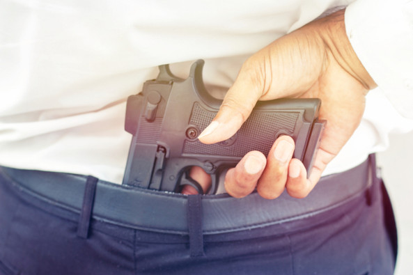 Florida's Constitutional Victory: How Citizen Action Transformed Open Carry Laws