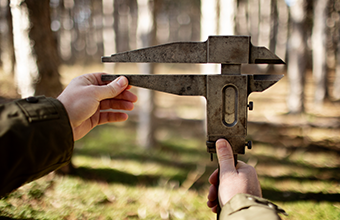 Home Defense Shotgun Shells