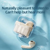 BD02 Wireless Earbuds In-Ear Earphones With Clear Calling Transparent Charging Case For Cell Phone 