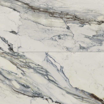 Aniston 24x48 Matte Porcelain Tile in Carrara Bianco
