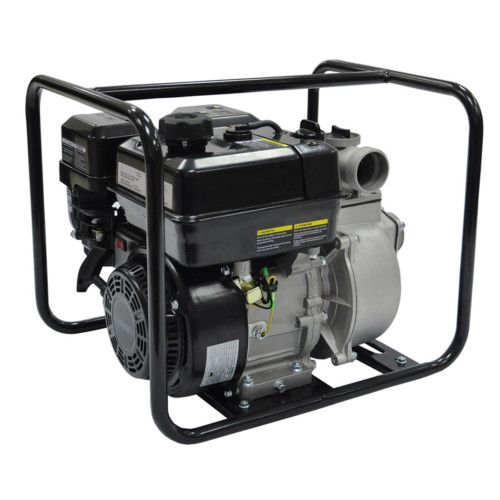 ECO-FLO PUP Series 5-1/2 HP 9000 gph Cast Iron Vertical Float Switch Gas Utility Pump