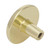 Amerock Allison Round Cabinet Knob 1-1/4 in. D 15/16 in. Polished Brass 1 pk