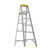 Werner 6 ft. H Aluminum Step Ladder Type I 250 lb. capacity