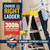 Werner 6 ft. H Aluminum Step Ladder Type IA 300 lb. capacity