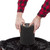 Craftsman 6.75 in. D Wet Application Wet/Dry Vac Cartridge Filter 5-20 gal 2 pc