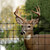 Tenax C-Flex 7.5 ft. H X 100 ft. L Polypropylene Deer Fence Black