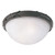 Westinghouse Claremont Switch Incandescent Rustic White Outdoor Light Fixture Hardwired