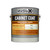 Insl-X Cabinet Coat Semi-Gloss Base 2 Trim & Cabinet Enamel Interior 1 gal