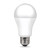 Ace A19 E26 (Medium) LED Bulb Daylight 75 Watt Equivalence 2 pk