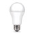 Ace A19 E26 (Medium) LED Bulb Soft White 75 Watt Equivalence 2 pk