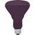 GE 75 W R30 Spotlight Incandescent Bulb E26 (Medium) Black Light 1 pk