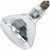 GE Saf-T-Gard 250 W R40 Floodlight Incandescent Bulb E26 (Medium) Soft White 1 pk