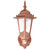 Maxsa 1-Light Metallic Wall Sconce