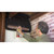 Flex Seal Family of Products Flex Seal Black Rubber Spray Sealant 14 oz