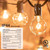 Globe-Electric G40 Monaco String Light Set Clear 25 ft. 25 lights