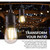 Newhouse Lighting LED Cottage,Farmhouse,Industrial LED Light String Clear 48 ft. 16 lights