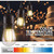 Newhouse Lighting LED Cottage,Farmhouse,Industrial LED Light String Clear 48 ft. 16 lights